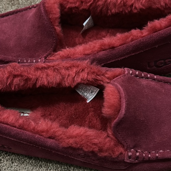 Ugg slippers size 11 brand new - Picture 3 of 6